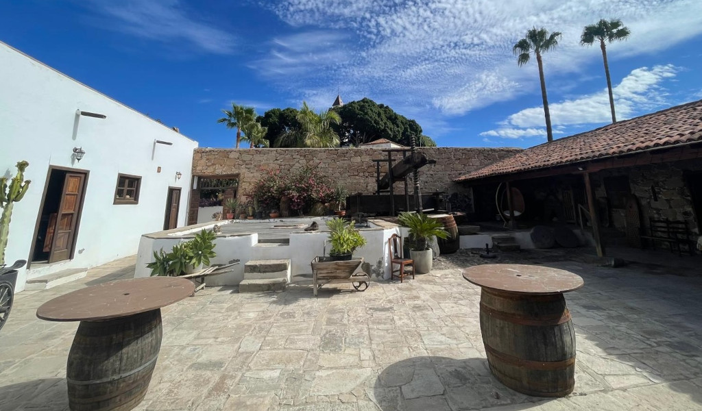 Patio traditionnel avec tonneaux et plantes à Icod de los Vinos, Tenerife.