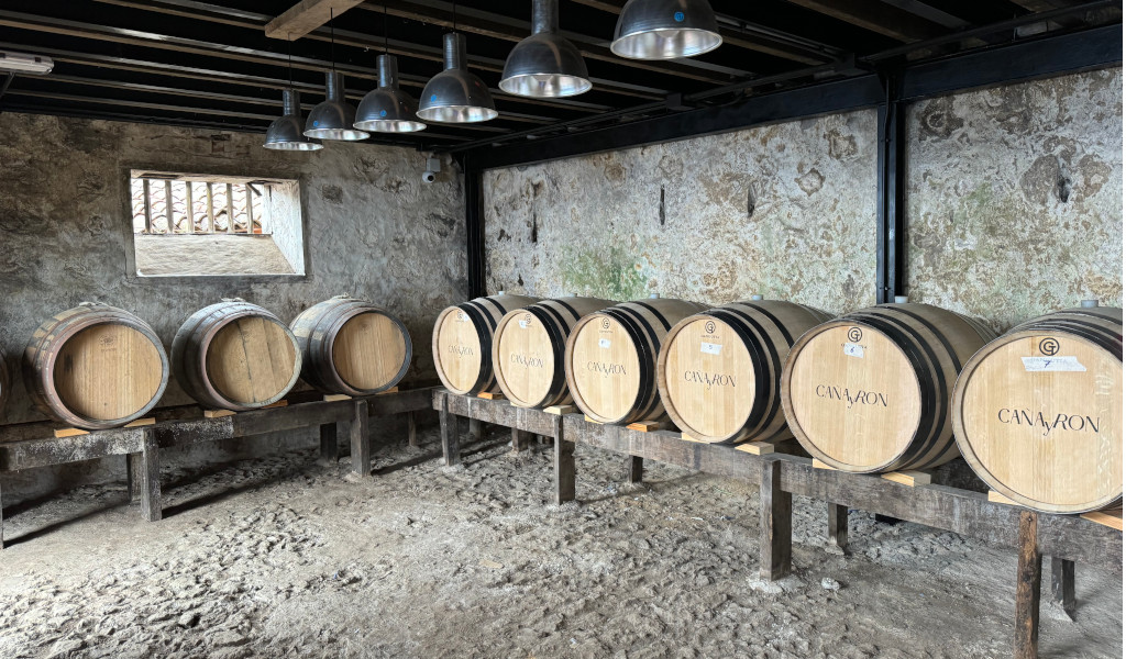 Des fûts de vin dans le domaine viticole de Tenerife portant l’inscription CANARIO.