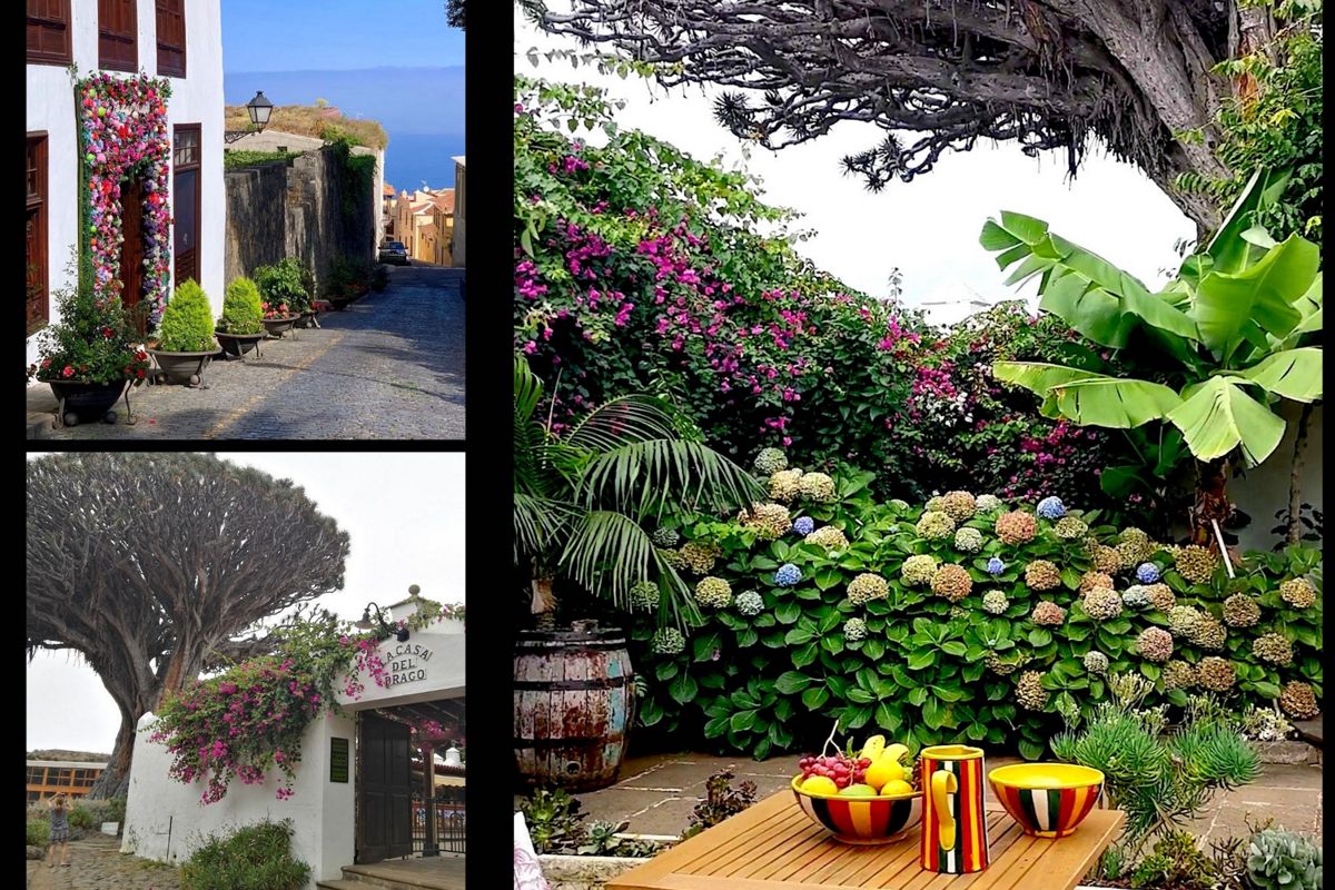 Rue pavée avec des pots de fleurs et une vue sur la mer à Tenerife. Arbustes et fleurs dans le jardin de Tenerife. Entrée de la Casa del Drago avec un arbre emblématique à Tenerife.