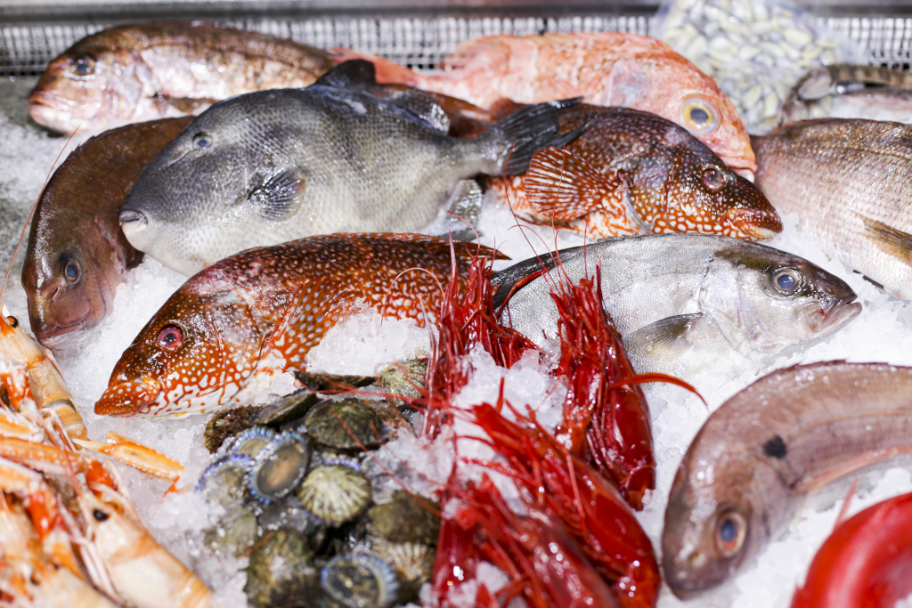 Variété de poissons frais et de fruits de mer sur glace à Tenerife.