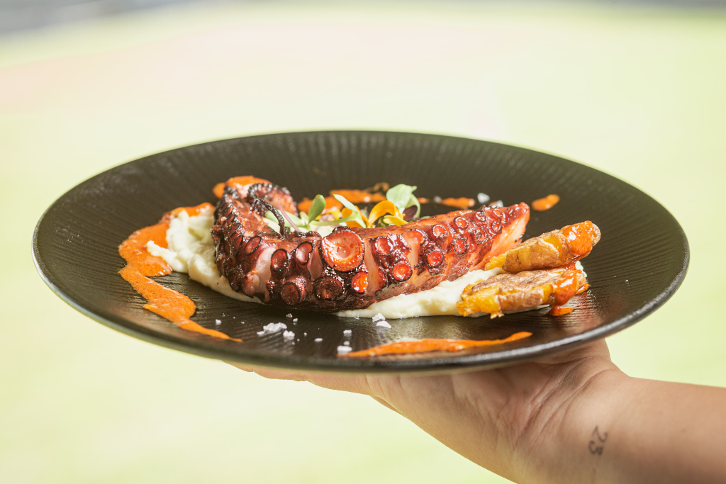 Poulpe grillée sur purée, décorée de sauce, servie à Tenerife.