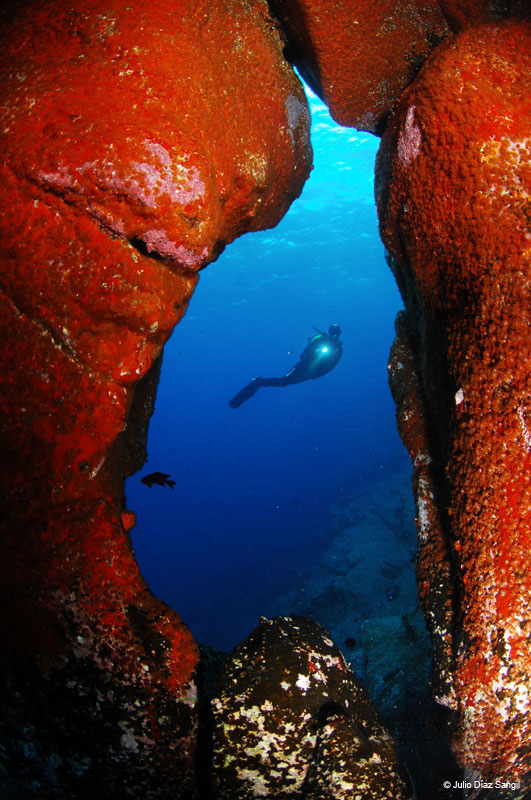 Plongeur dans les eaux entre les formations rocheuses de Tenerife.