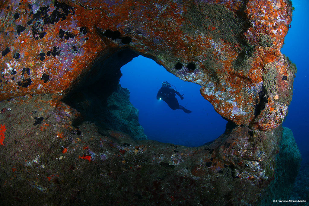 Plongeur explorant un arc rocheux sous-marin à Tenerife.
