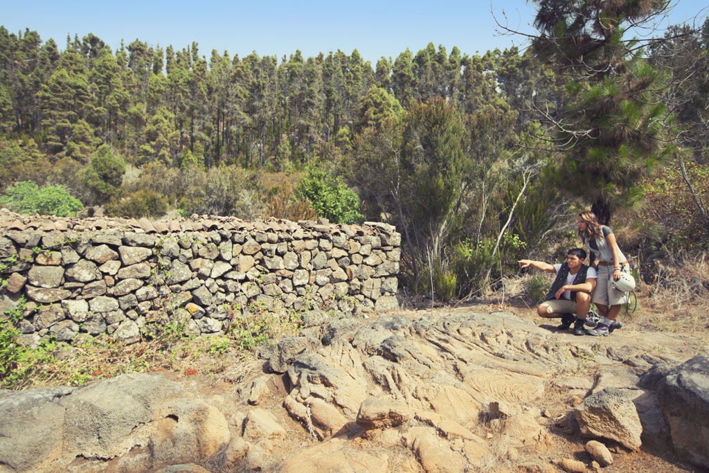Des gens regardant un mur de pierre dans une forêt à Tenerife.