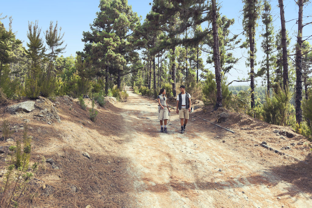 Un couple marchant le long d’un sentier entouré de pins à Tenerife.