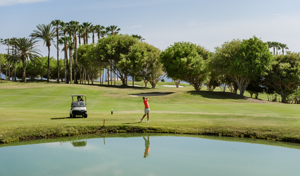 Personne jouant au golf sur un terrain avec des palmiers et une charrette à Tenerife.