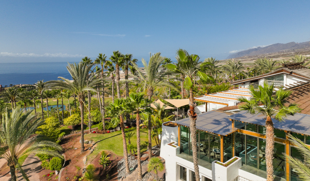 Des installations entourées de palmiers surplombant l’océan à Tenerife.