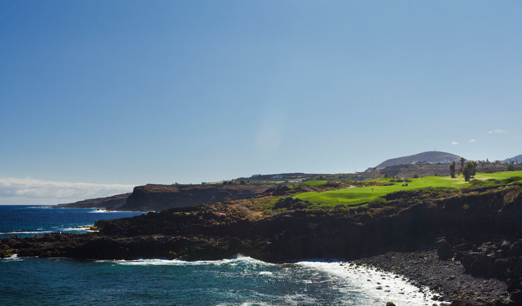 Côte rocheuse et paysage verdoyant à Tenerife face à la mer sous un ciel clair.