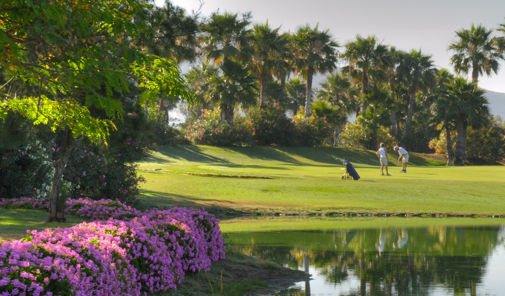Des gens jouant au golf sur un terrain avec des palmiers à Tenerife.