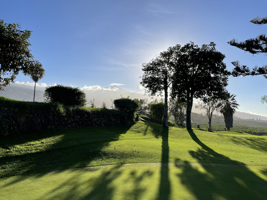 Arbres et herbe sous le soleil avec pour fond montagnes à Tenerife.