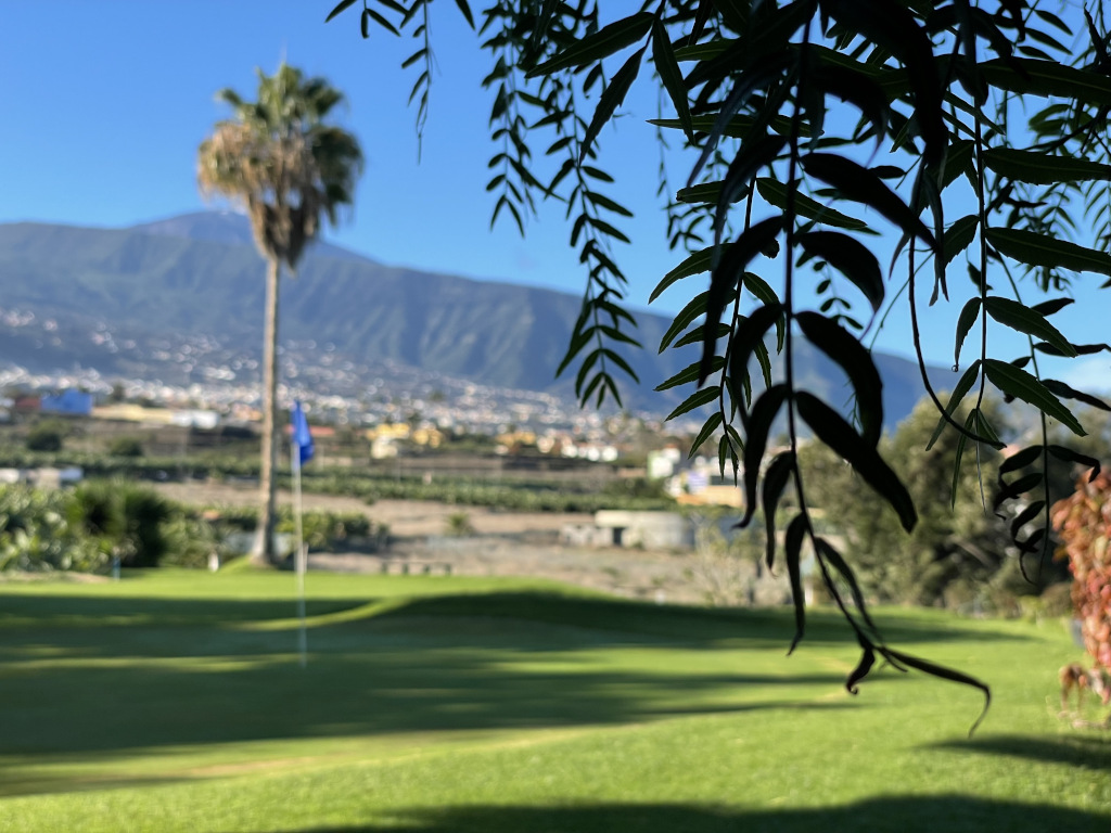 Parcours de golf à Tenerife avec une montagne et des arbres en arrière-plan.