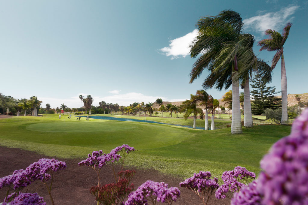 Parcours de golf avec des palmiers et des fleurs violettes à Tenerife.