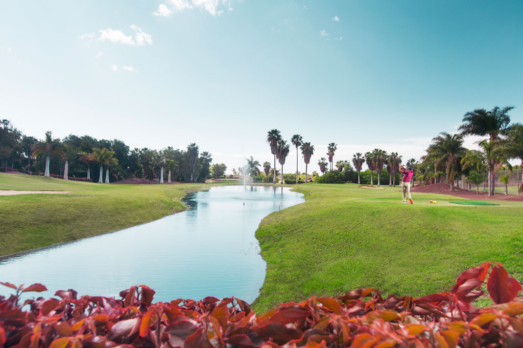 Parcours de golf avec palmiers et lac à Costa Adeje, Tenerife.