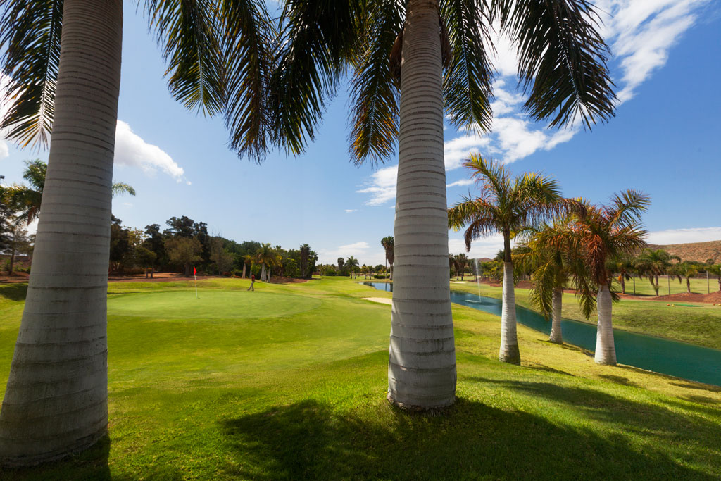 Parcours de golf entouré de palmiers à Tenerife, ciel dégagé.