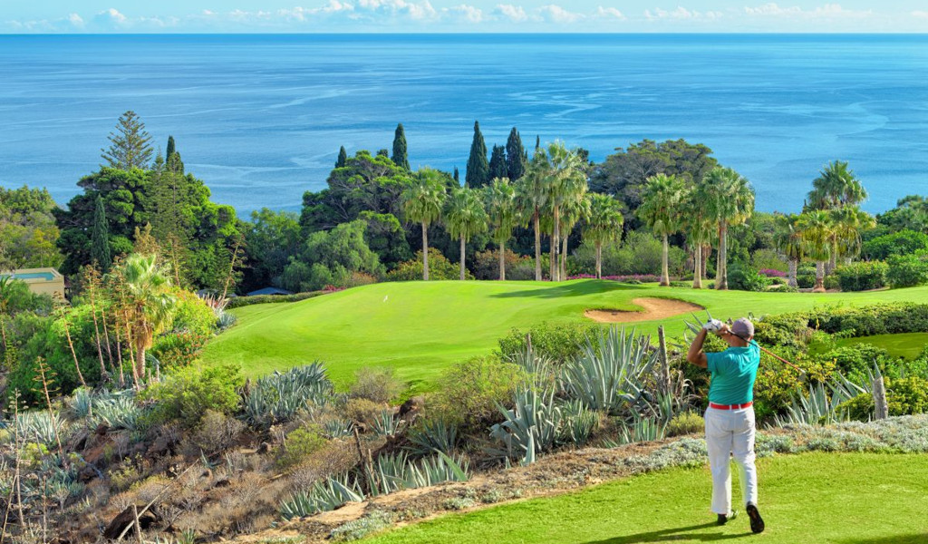 Joueur de golf sur un parcours près de la mer à Tenerife, entouré de verdure et de palmiers.