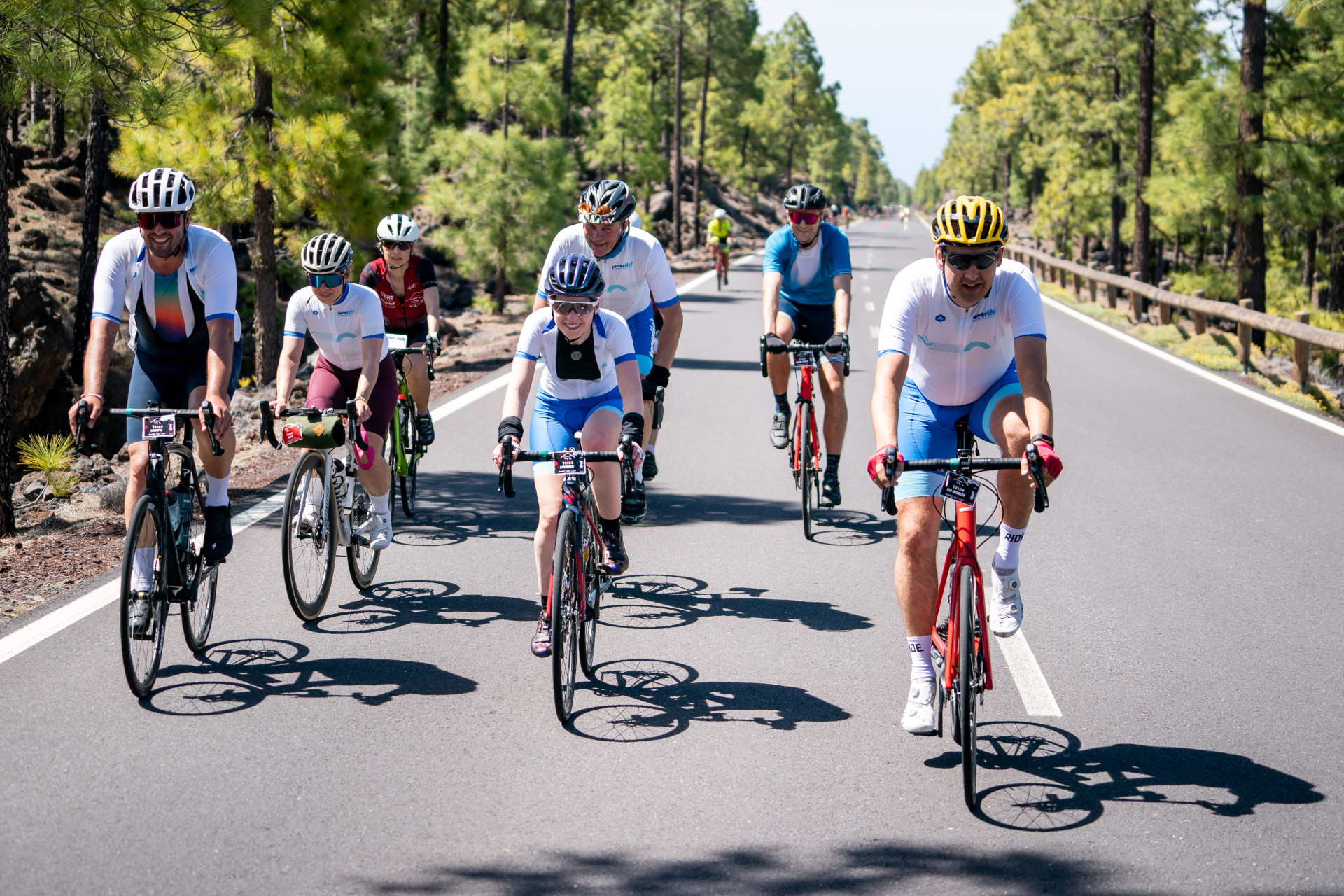 Des cyclistes sur la route entourés de pins à Tenerife.