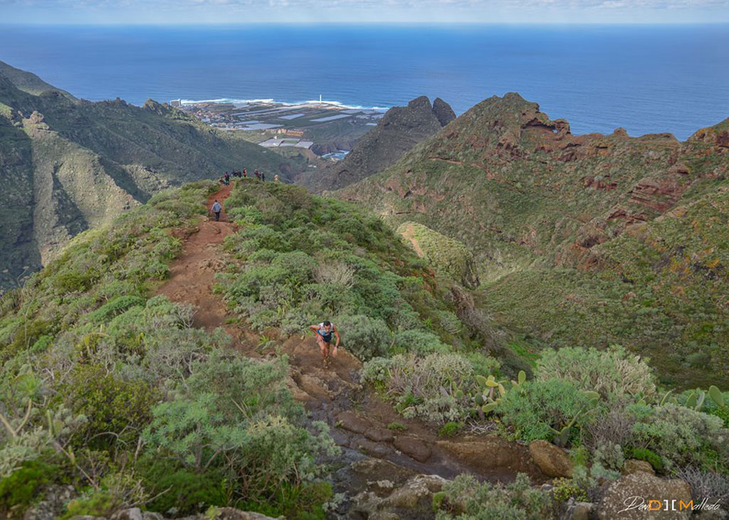 Sentier de montagne à Anaga, Tenerife, avec vue sur l’océan et randonneurs.