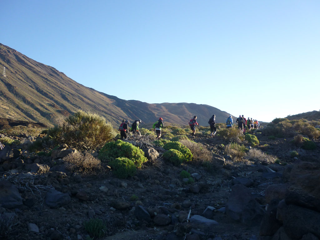 Groupe de personnes randonnent dans le parc national de la Teide, Tenerife.
