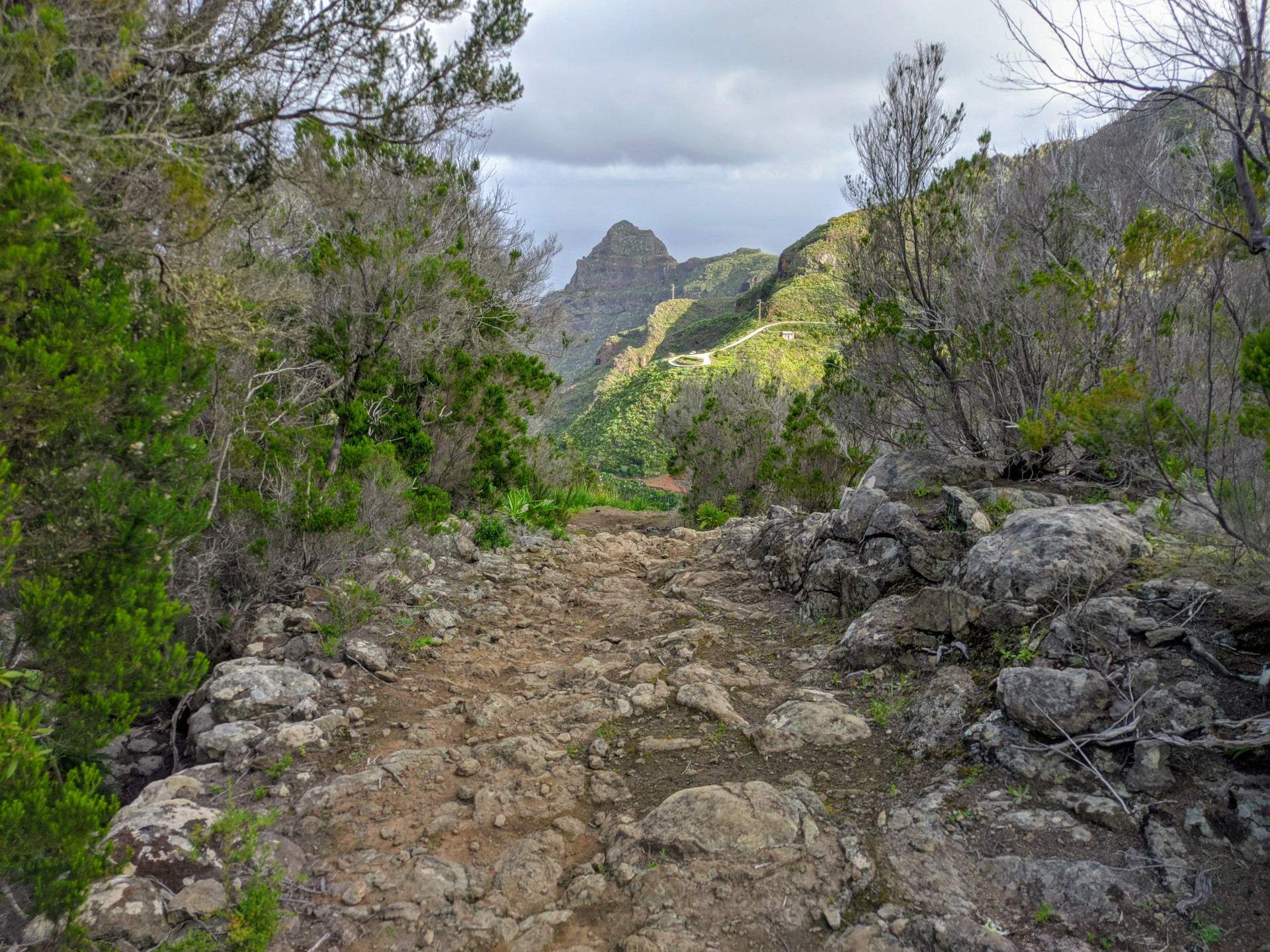 Sentier rocheux parmi la végétation dans le parc rural d’Anaga, Tenerife.