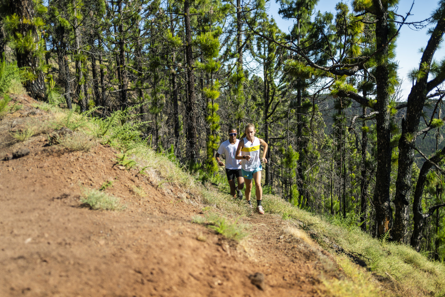 Deux personnes courant le long d’un sentier dans une forêt à Tenerife.