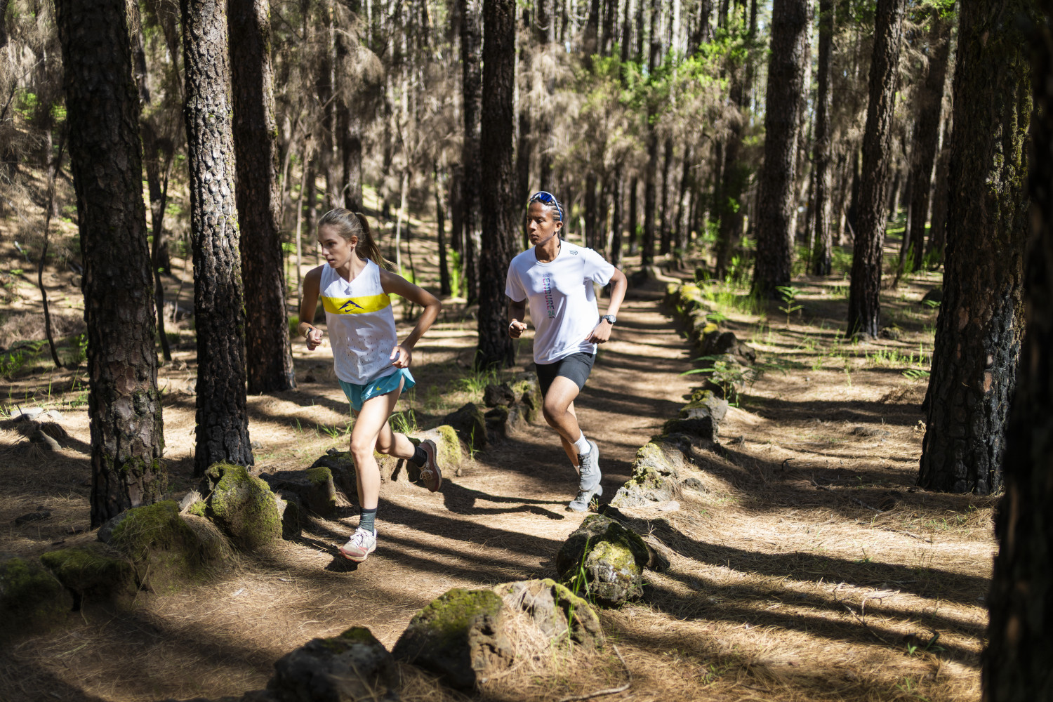 Des coureurs dans une forêt de Tenerife, entourés de grands arbres.