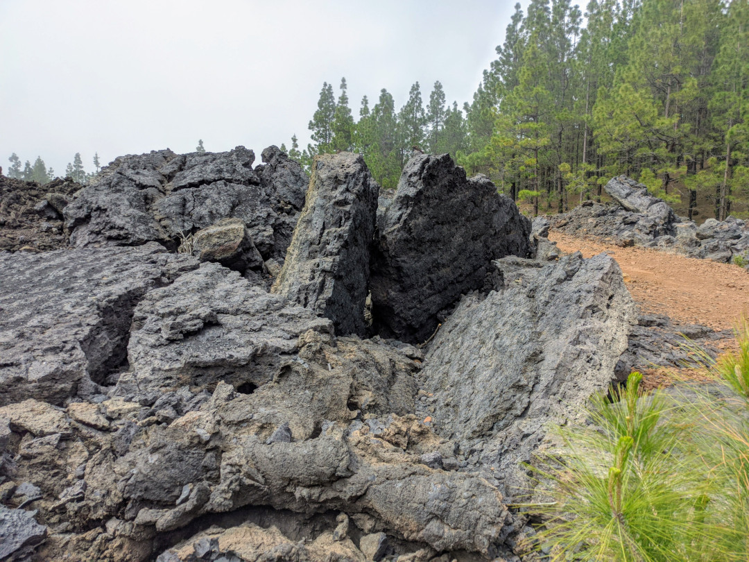 Roches volcaniques et pins sur un sentier d’El Teide, à Tenerife.