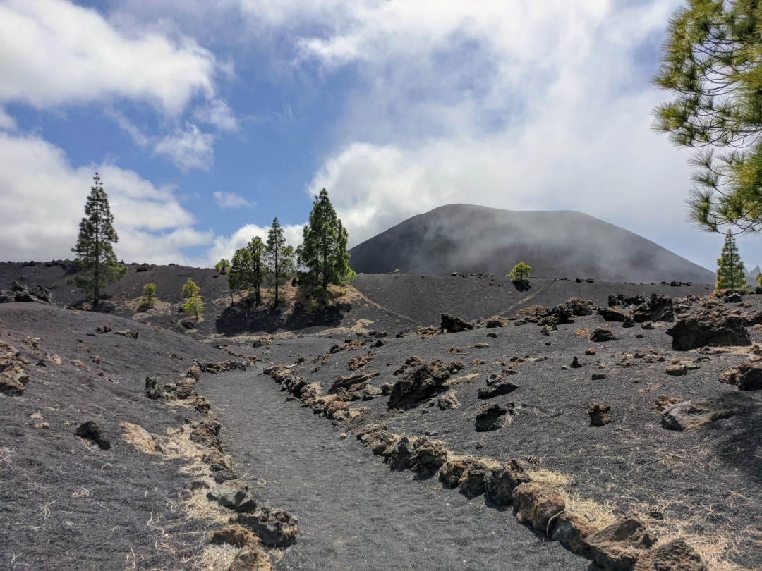 Sentier volcanique dans le parc national du Teide, Tenerife, avec des pins et un ciel nuageux.
