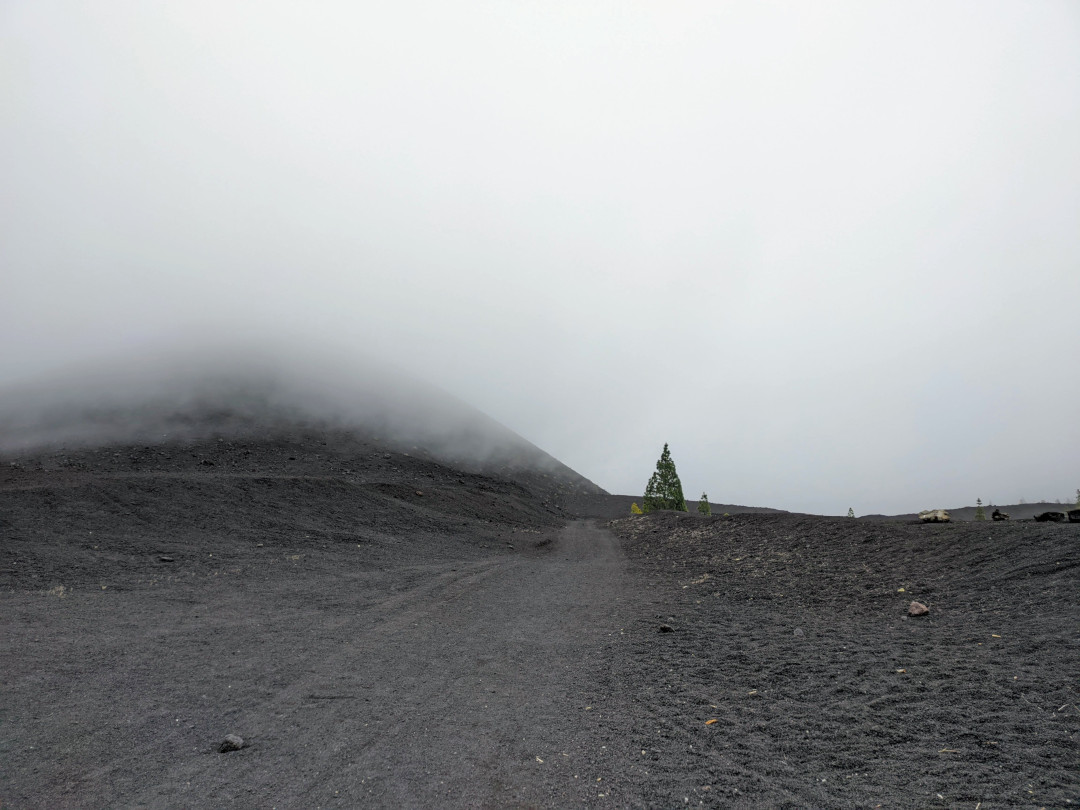 Paysage volcanique brumeux à Tenerife, avec une route de terre et des pins dispersés.