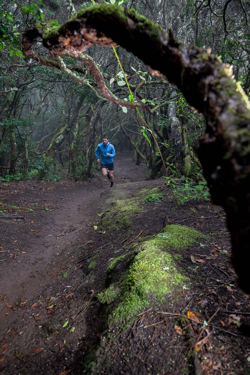 Albergue de Anaga - Igueste - Taganana