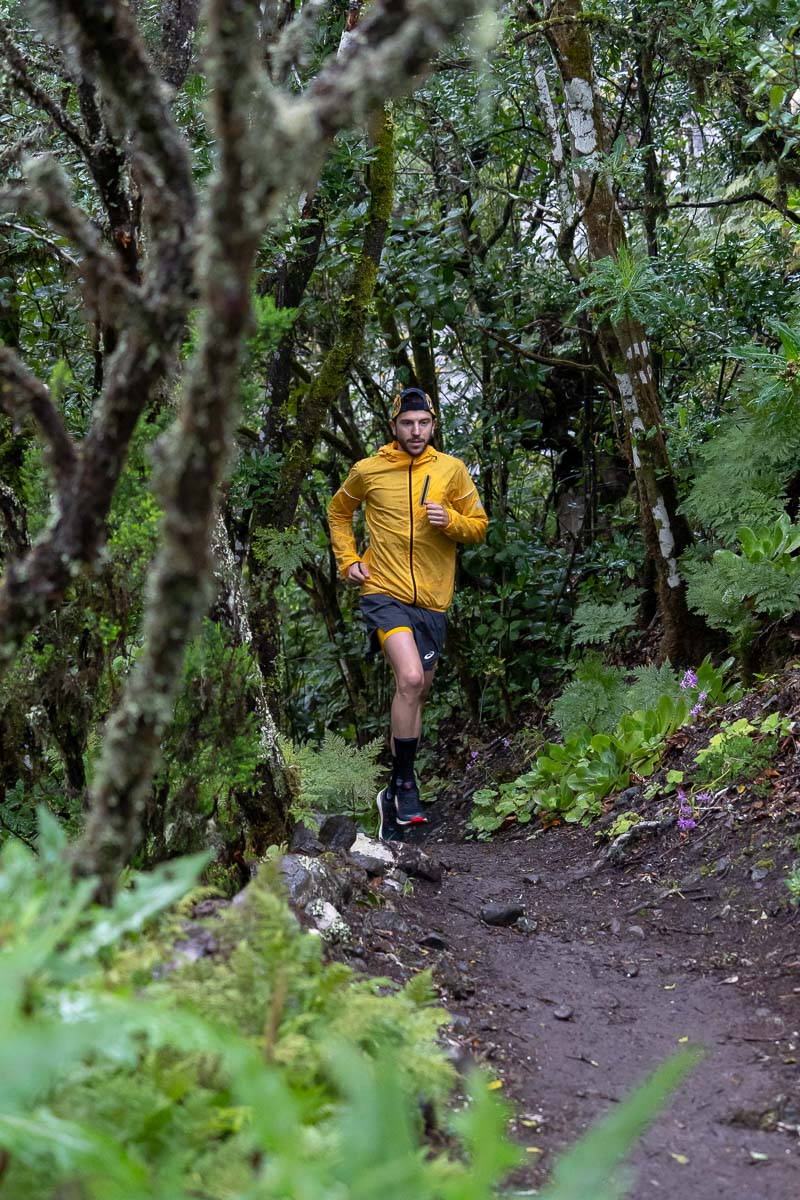 Albergue de Anaga - Igueste - Taganana