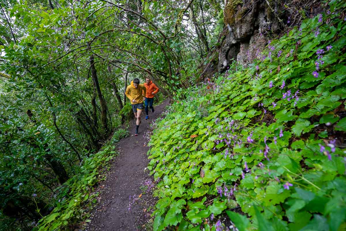 Albergue de Anaga - Igueste - Taganana