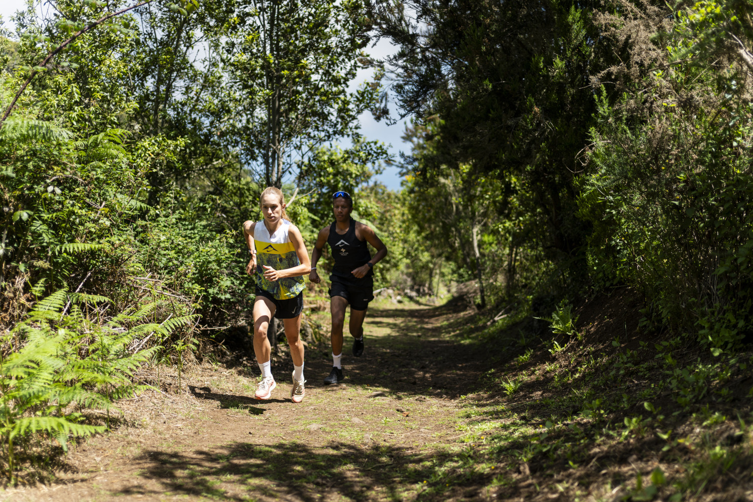 Des coureurs sur un sentier entouré de verdure à La Laguna, Tenerife.