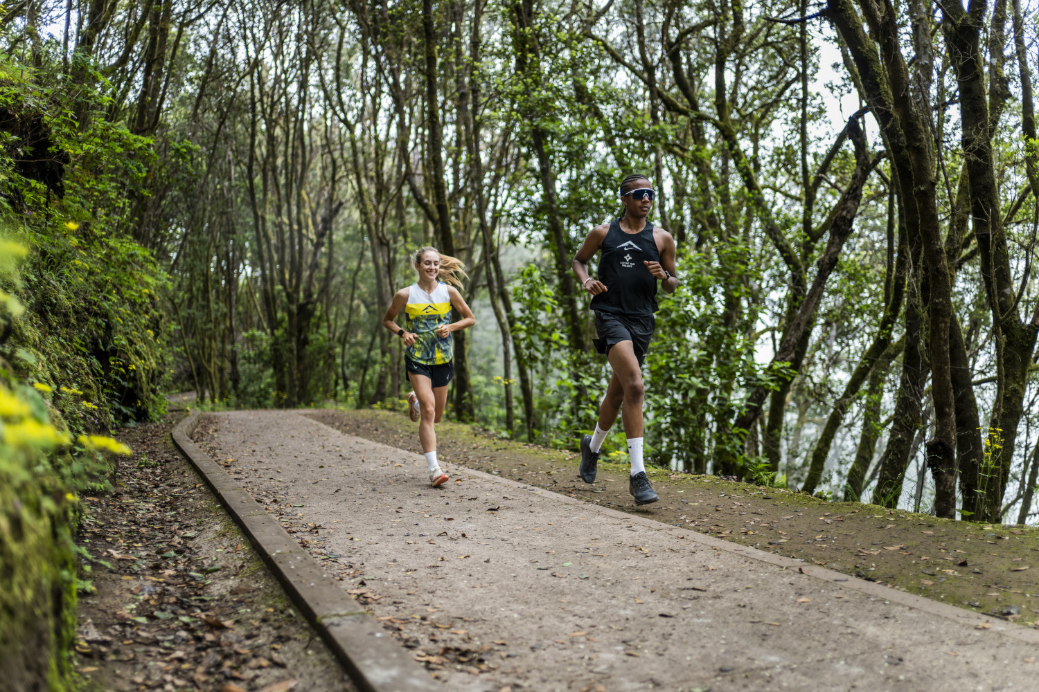 Des coureurs sur un sentier entouré d’arbres à Tenerife.
