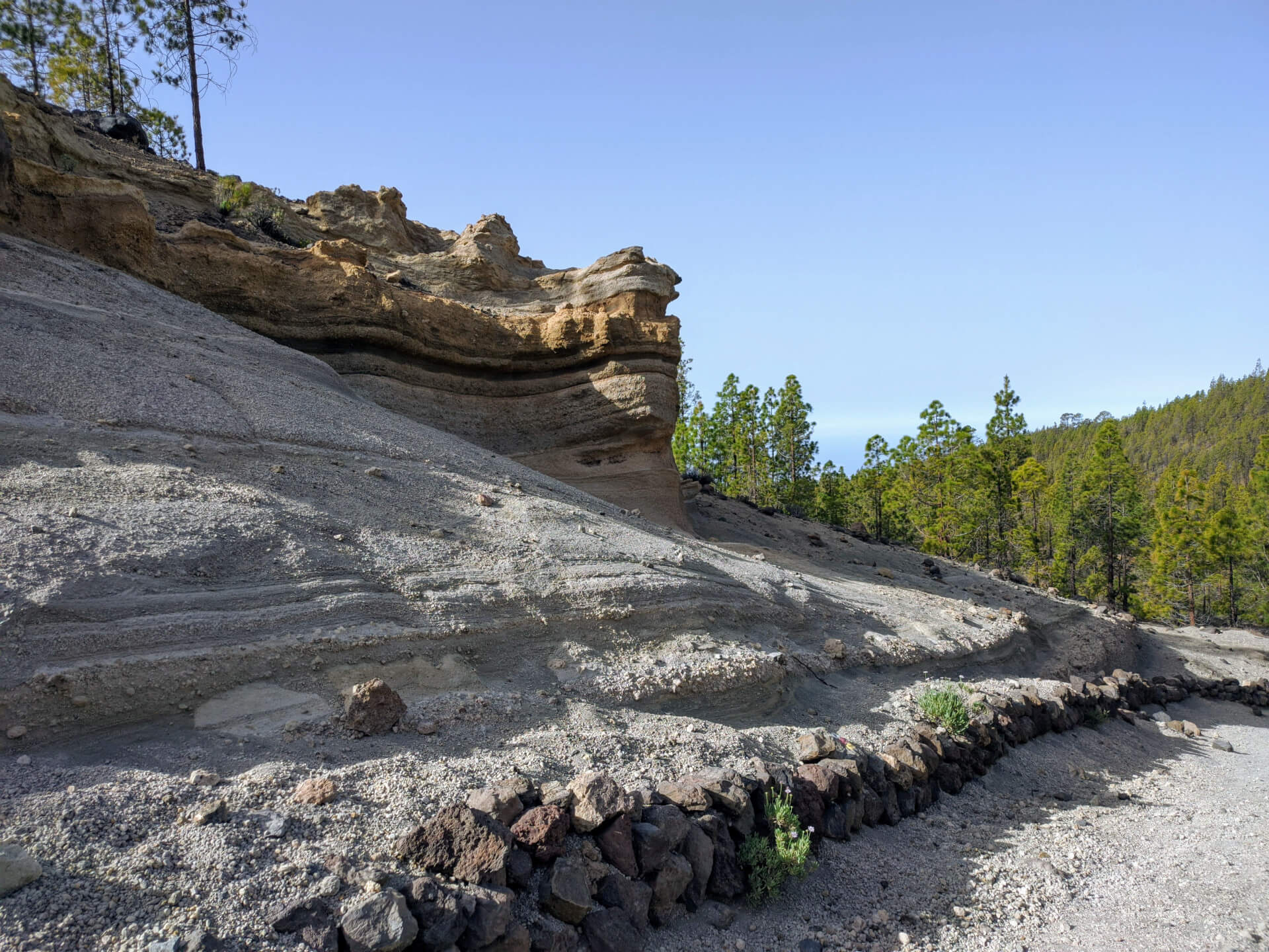 Formation rocheuse et pins dans les paysages lunaires de Tenerife.
