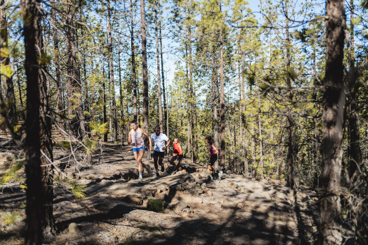 Groupe de personnes courant le long d’un sentier dans la forêt de Tenerife.
