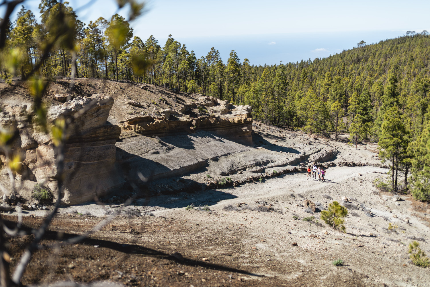 Sentier entre formations rocheuses et pins à Vilaflor, Tenerife.