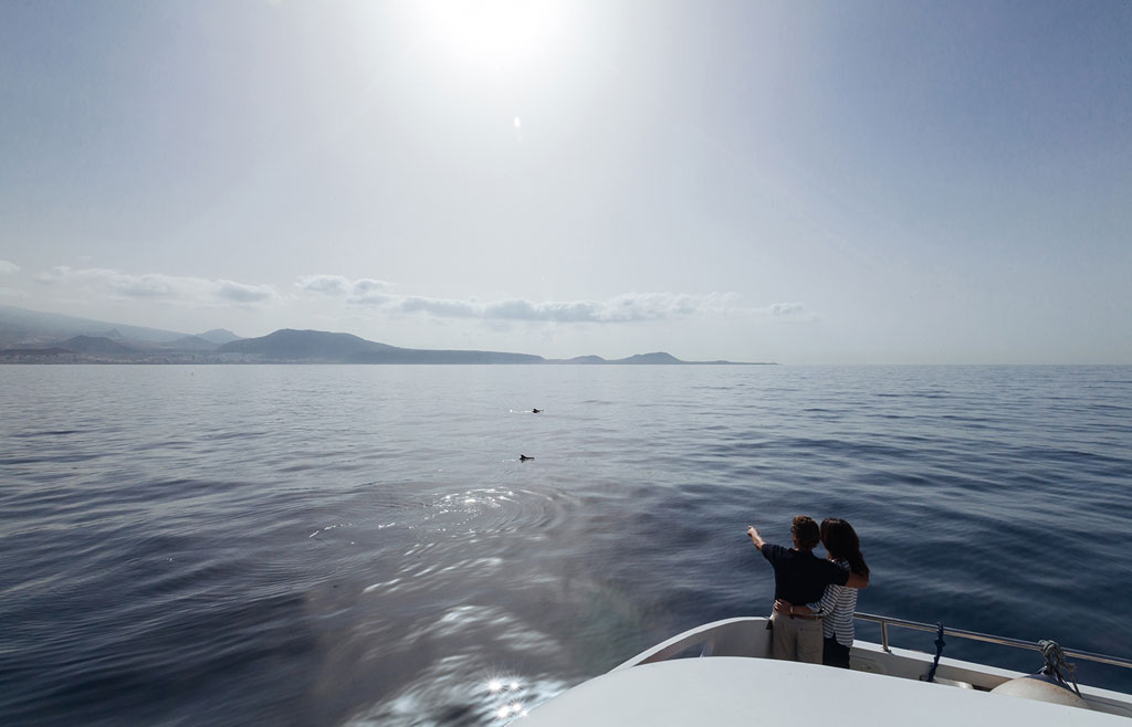 Un couple sur un bateau regardant l’océan et la côte de Tenerife en arrière-plan.