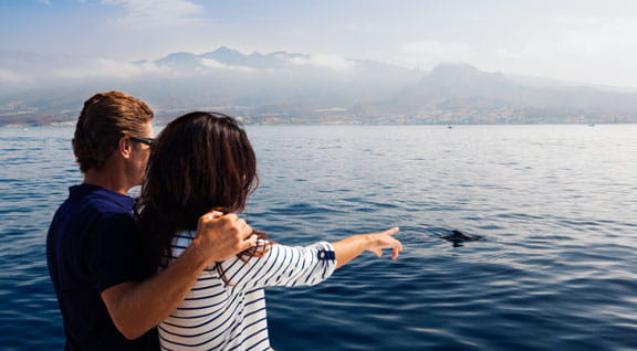 Avistamiento de cetáceos