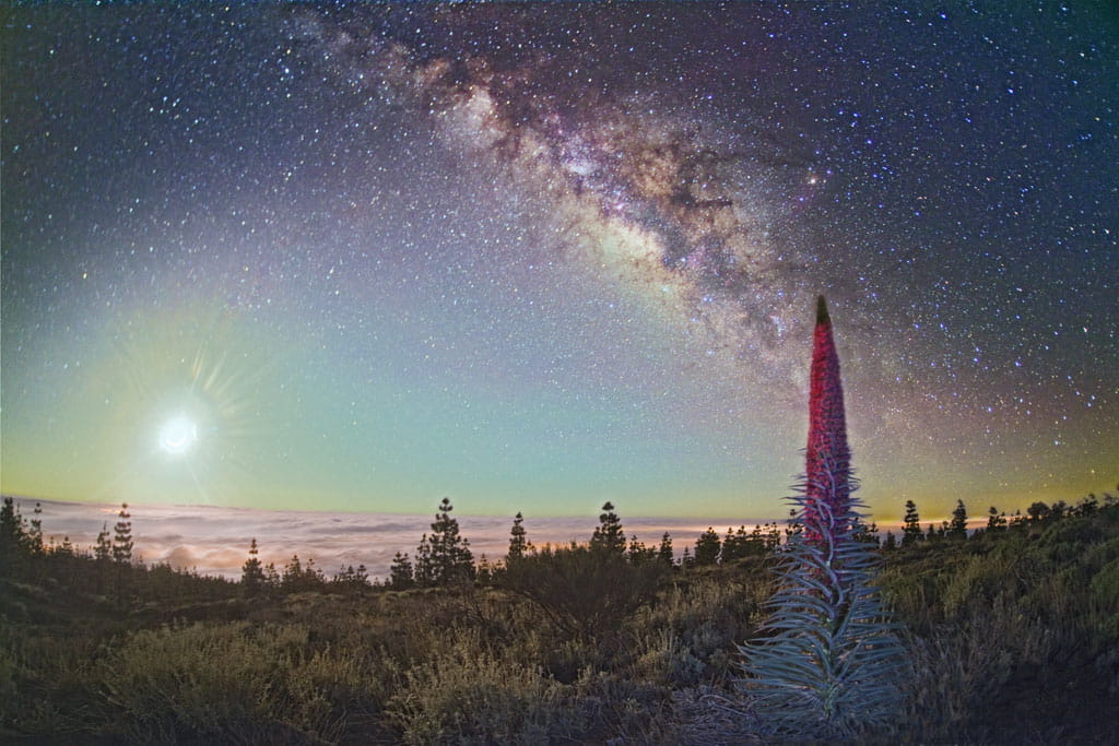 Ciel étoilé sur le paysage du mont Teide à Tenerife.