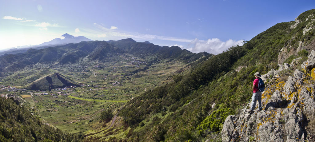 Personne observant une vallée montagneuse à Tenerife, vue panoramique sur les montagnes et les champs verts.