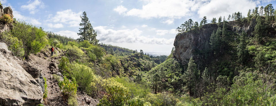 PR-TF 83.1 Las Vegas - Los Escurriales