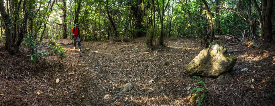 PR-TF 35.3 Llano de Los Corrales - Pinolere