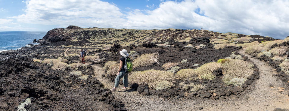 Malpaís de Güímar 1