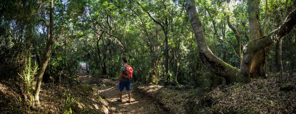 PR-TF 35 La Caldera - Mamio - La Caldera  