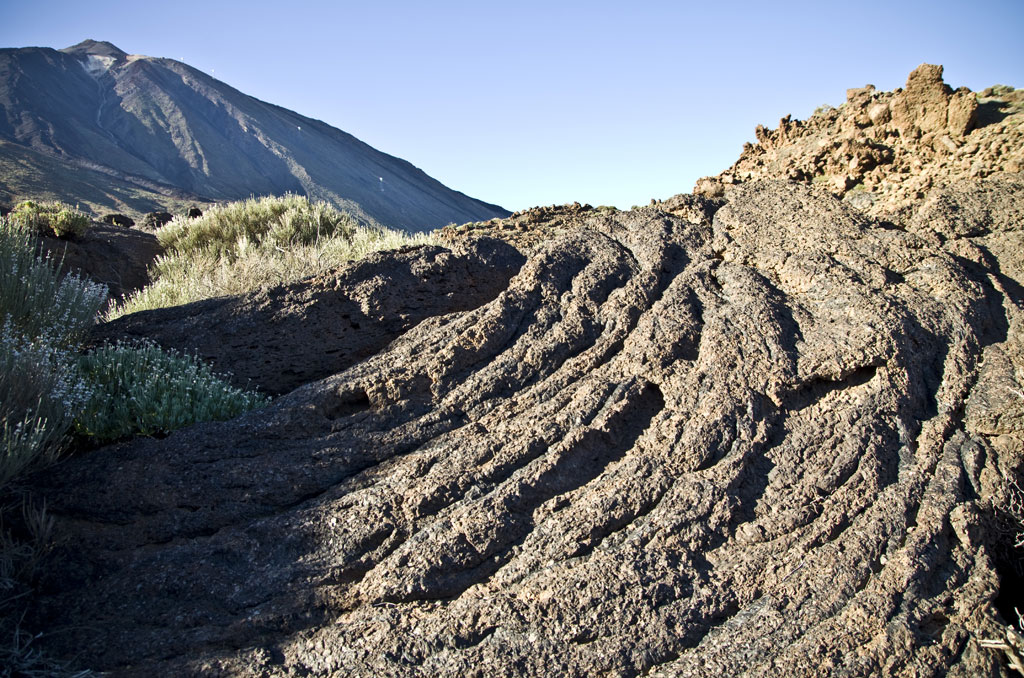 Formation de lave et végétation dans le parc national de la Teide, Tenerife.