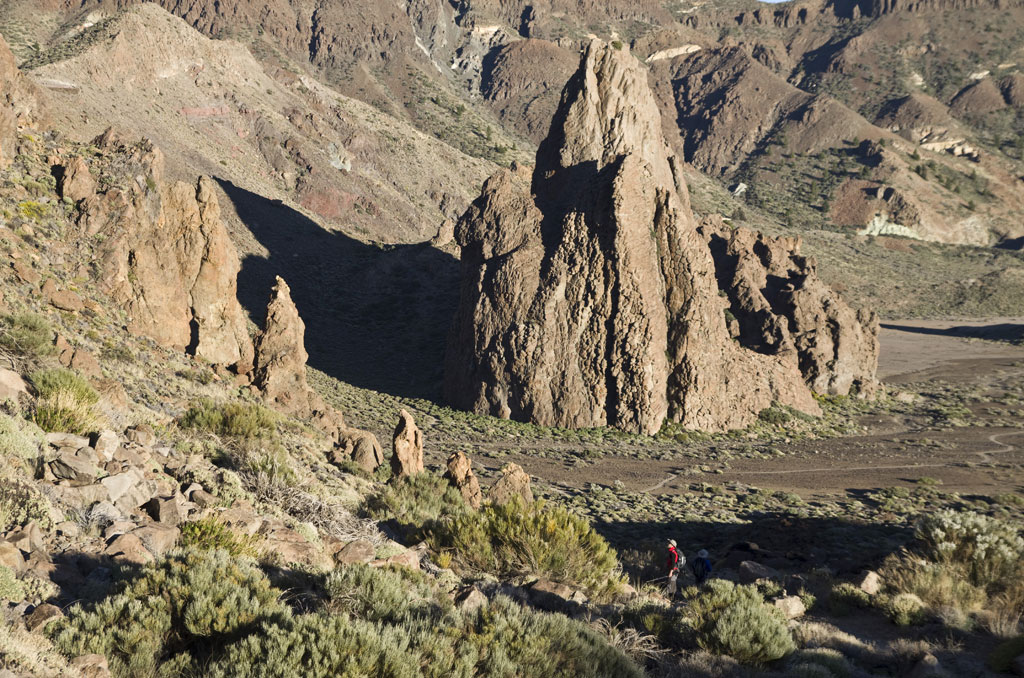 Formations rocheuses dans le parc national de la Teide, Tenerife, avec une végétation au premier plan.