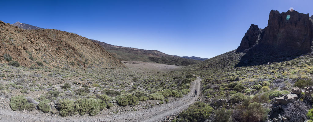 Route de terre entourée de montagnes et de végétation dans le parc national de la Teide, à Tenerife.