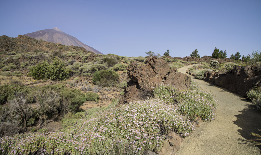 Parque Nacional del Teide - Tramo accesible Jardín Botánico