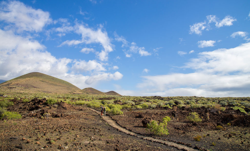 Sentier dans le paysage volcanique de Tenerife sous un ciel dégagé.