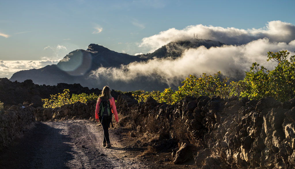 Personne marchant sur un sentier montagneux à Tenerife, entourée de nuages et de végétation.